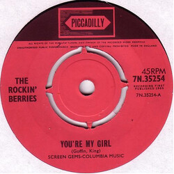 The Rockin' Berries You're My Girl / Brother Bill USED VINYL 7INCH SINGLE 45 RPM