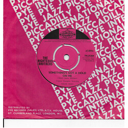 The Righteous Brothers Something's Got A Hold On Me USED VINYL 7INCH 45 RPM