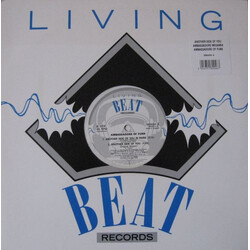 Ambassadors Of Funk Another Side Of You USED VINYL 12INCH 45 RPM