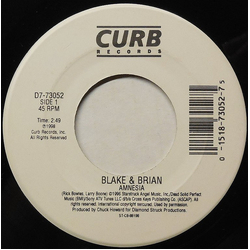 Blake & Brian Amnesia Vinyl 7" USED