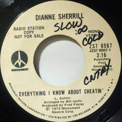 Dianne Sherrill Everything I Know About Cheatin' USED VINYL 7INCH 45 RPM PROMO STEREO MONO
