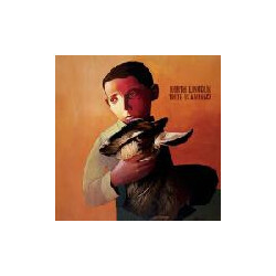 North Lincoln Truth Is A Menace Vinyl LP USED