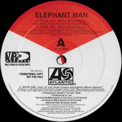 Elephant Man Jook Gal (Remixes) USED VINYL 12INCH 33 S RPM PROMO