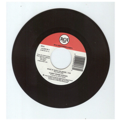 Tommy Shane Steiner What If She's An Angel Vinyl 7" USED