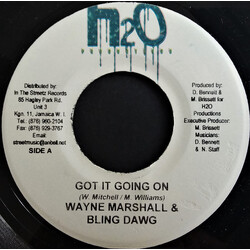 Wayne Marshall / Bling Dawg Got It Going On USED VINYL 7INCH 45 RPM
