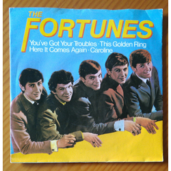 The Fortunes You've Got Your Troubles Vinyl 7" USED