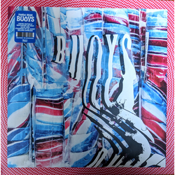 Panda Bear Buoys Vinyl LP USED