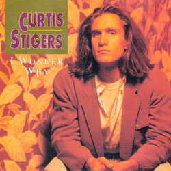 Curtis Stigers I Wonder Why USED VINYL 7INCH 45 RPM SINGLE STEREO