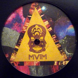 MVIM Ice Accountant Vinyl 12" USED