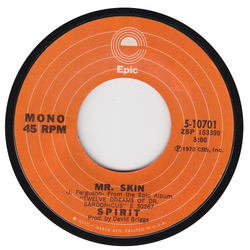 Spirit (8) Mr Skin / Soldier Vinyl 7" USED