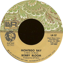 Bobby Bloom Montego Bay Vinyl 7" USED
