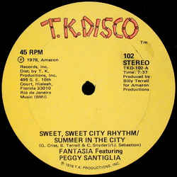 Fantasia (5) / Peggy Santiglia Sweet, Sweet City Rhythm/Summer In The City / Go On And Dance To The Music Vinyl 12" USED