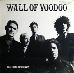 Wall Of Voodoo Far Side Of Crazy Vinyl 12" USED