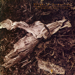 David Sylvian / Holger Czukay Plight & Premonition Vinyl LP USED