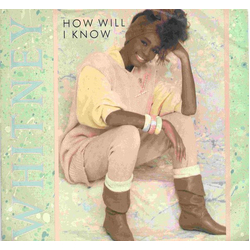 Whitney Houston How Will I Know Vinyl 7" USED