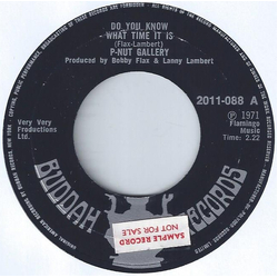 P-Nut Gallery Do You Know What Time It Is? Vinyl 7" USED