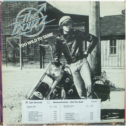 The Boyzz Too Wild To Tame Vinyl LP USED