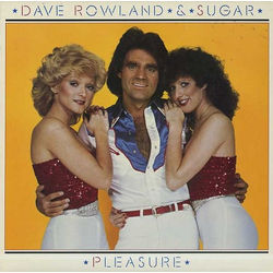 Dave And Sugar Pleasure Vinyl LP USED