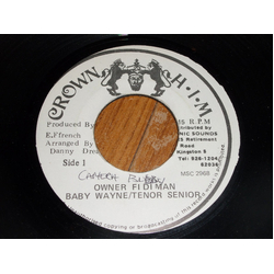 Baby Wayne / Tenor Senior Owner Fi Di Man Vinyl 7" USED