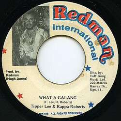 Tippa Lee / Rappa Robert What A Galang Vinyl 7" USED