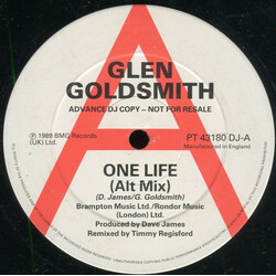 Glen Goldsmith One Life Vinyl 12" USED