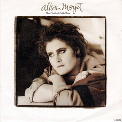 Alison Moyet That Ole Devil Called Love VINYL 7" USED