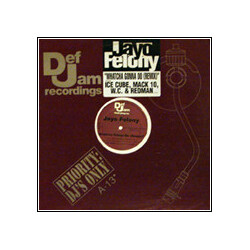 Jayo Felony Whatcha Gonna Do (Remix) USED VINYL 12INCH 33 S RPM PROMO STEREO