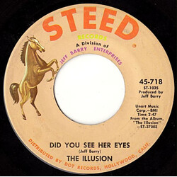 The Illusion Did You See Her Eyes USED VINYL 7INCH 45 RPM SINGLE