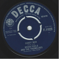 Brian Poole & The Tremeloes Candy Man Vinyl 7" USED