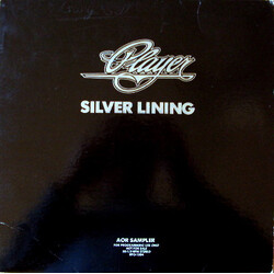 Player (4) Silver Lining USED VINYL 12INCH 33 S RPM PROMO SAMPLER