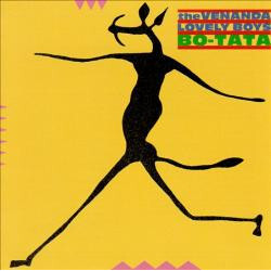 The Venanda Lovely Boys Bo-Tata Vinyl LP USED