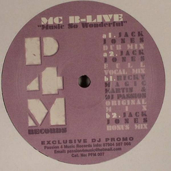 MC B-Live Music So Wonderful USED VINYL 12INCH PROMO