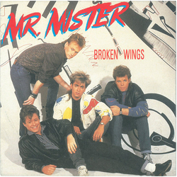 Mr. Mister Broken Wings Vinyl 7" USED