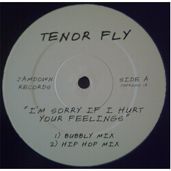 Tenor Fly I'm Sorry If I Hurt Your Feelings USED VINYL 12INCH PROMO