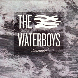 The Waterboys December USED VINYL 7INCH 45 RPM SINGLE