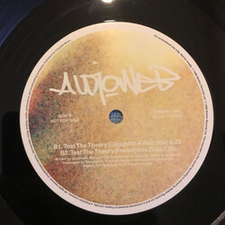 Audioweb Test The Theory USED VINYL 12INCH PROMO 33 S RPM