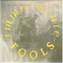 Immaculate Fools Nothing Means Nothing USED VINYL 7INCH 45 RPM SINGLE