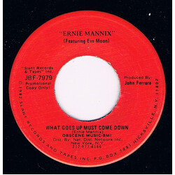 Ernie Mannix What Goes Up Must Come Down USED VINYL 7INCH 45 RPM SINGLE PROMO