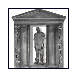 Wordsworth Not Me / Wildlife USED VINYL 12INCH