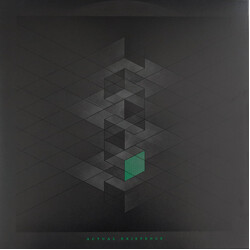 RLYR Actual Existence Vinyl LP USED