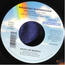 David Lee Murphy Breakfast In Birmingham Vinyl 7" USED