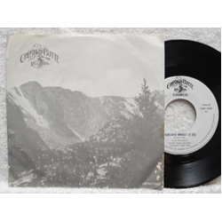 Chirco Golden Image / Mr. Sunshine Vinyl 7" USED