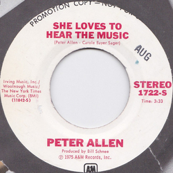 Peter Allen She Loves To Hear The Music Vinyl 7" USED