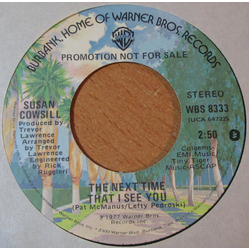Susan Cowsill The Next Time That I See You Vinyl 7" USED