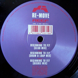 Re-Move Beginning To Fly USED VINYL 12INCH