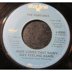 The Fortunes Here Comes That Rainy Day Feeling Again Vinyl 7" USED
