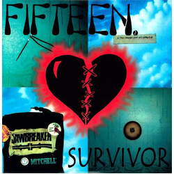 Fifteen Survivor Vinyl 2 LP USED