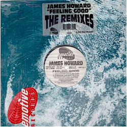 James Howard Feeling Good (The Remixes) Vinyl 12" USED