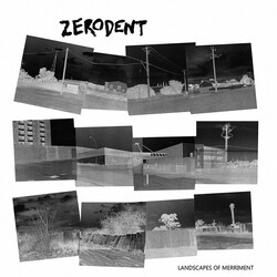 Zerodent Landscapes Of Merriment Vinyl LP USED