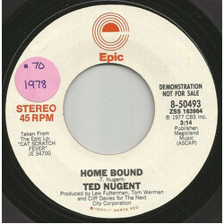 Ted Nugent Home Bound USED VINYL 7INCH 45 RPM SINGLE PROMO STEREO MONO